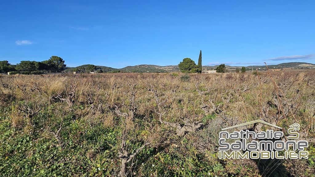 Terrain FRONTIGNAN (34110) Nathalie Salamone Immobilier